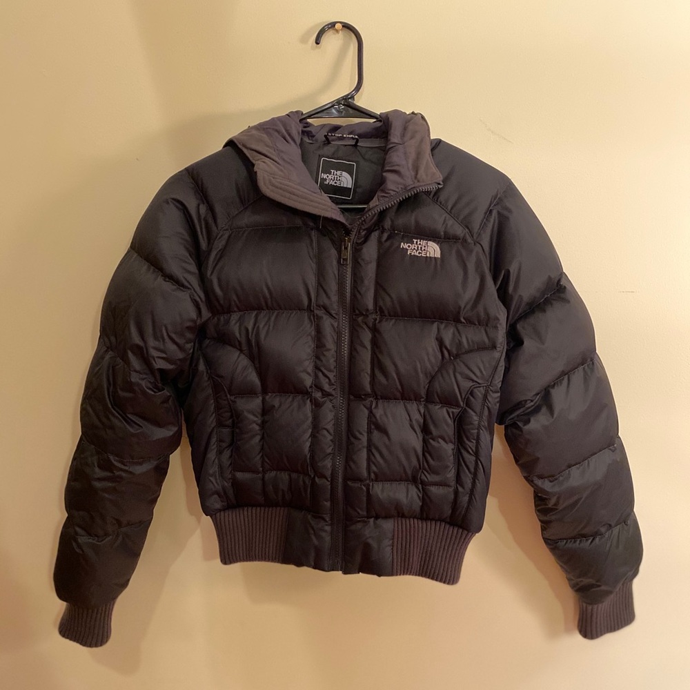 The North Face Puffer Winter Jacket